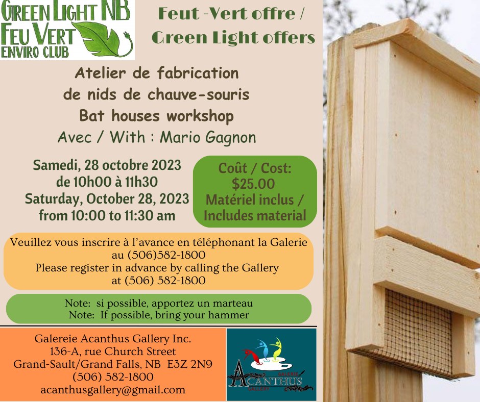 Atelier de fabrication de nids de chauve-souris